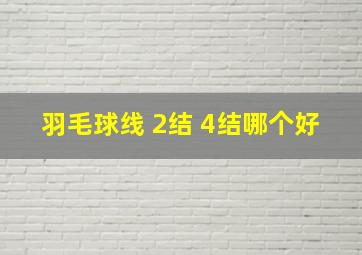 羽毛球线 2结 4结哪个好